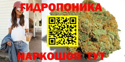 ECSTASY Канаш