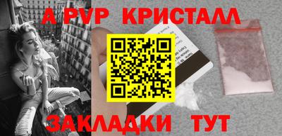 ECSTASY Канаш