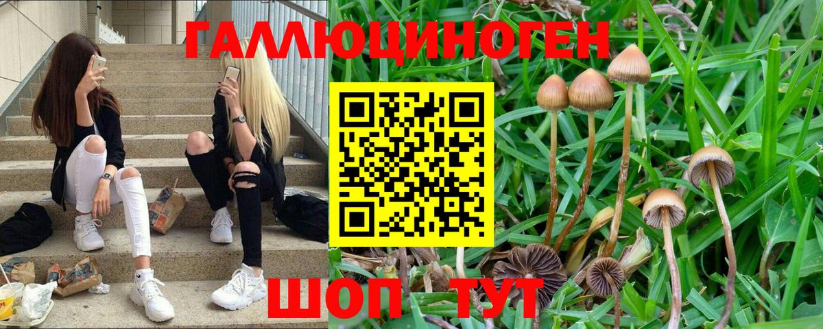 Галлюциногенные грибы ЛСД  Галлюциногенные грибы Magic Shrooms  Вход с VPN  Домодедово 